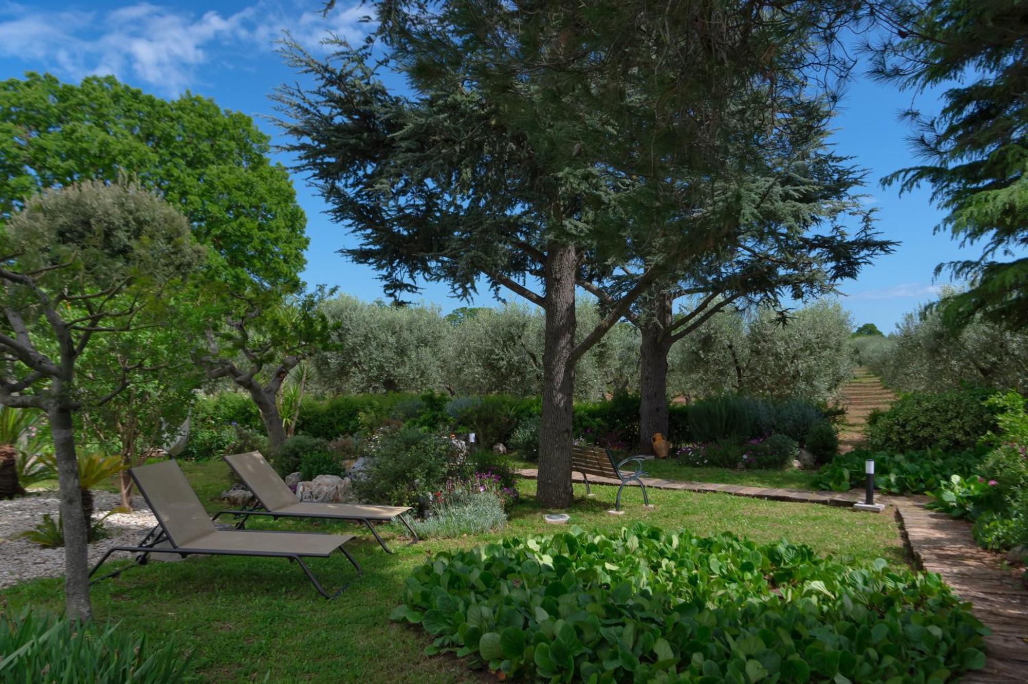 Agriturismo Masseria Aprile Locorotondo Ngoại thất bức ảnh