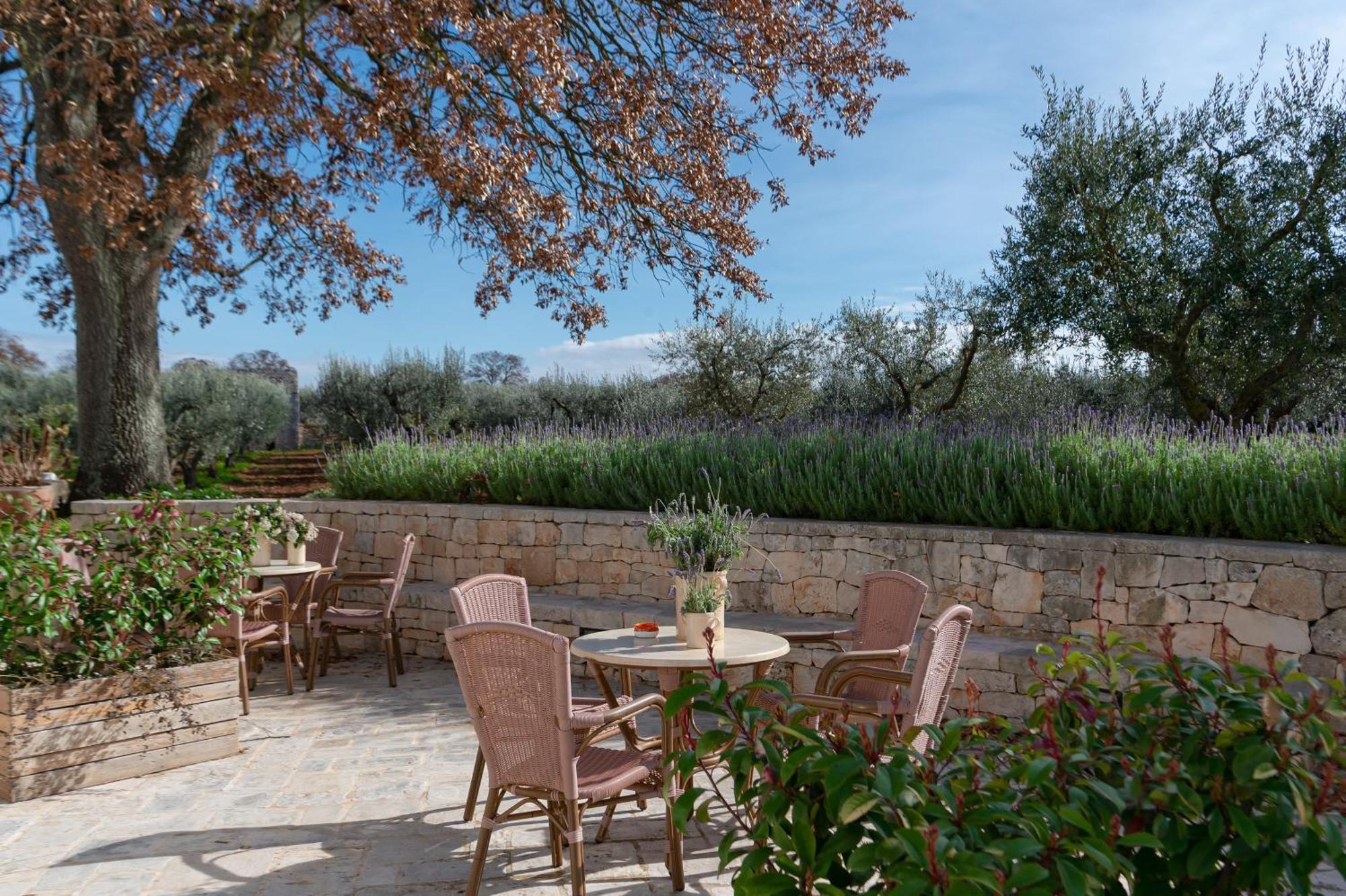 Agriturismo Masseria Aprile Locorotondo Ngoại thất bức ảnh