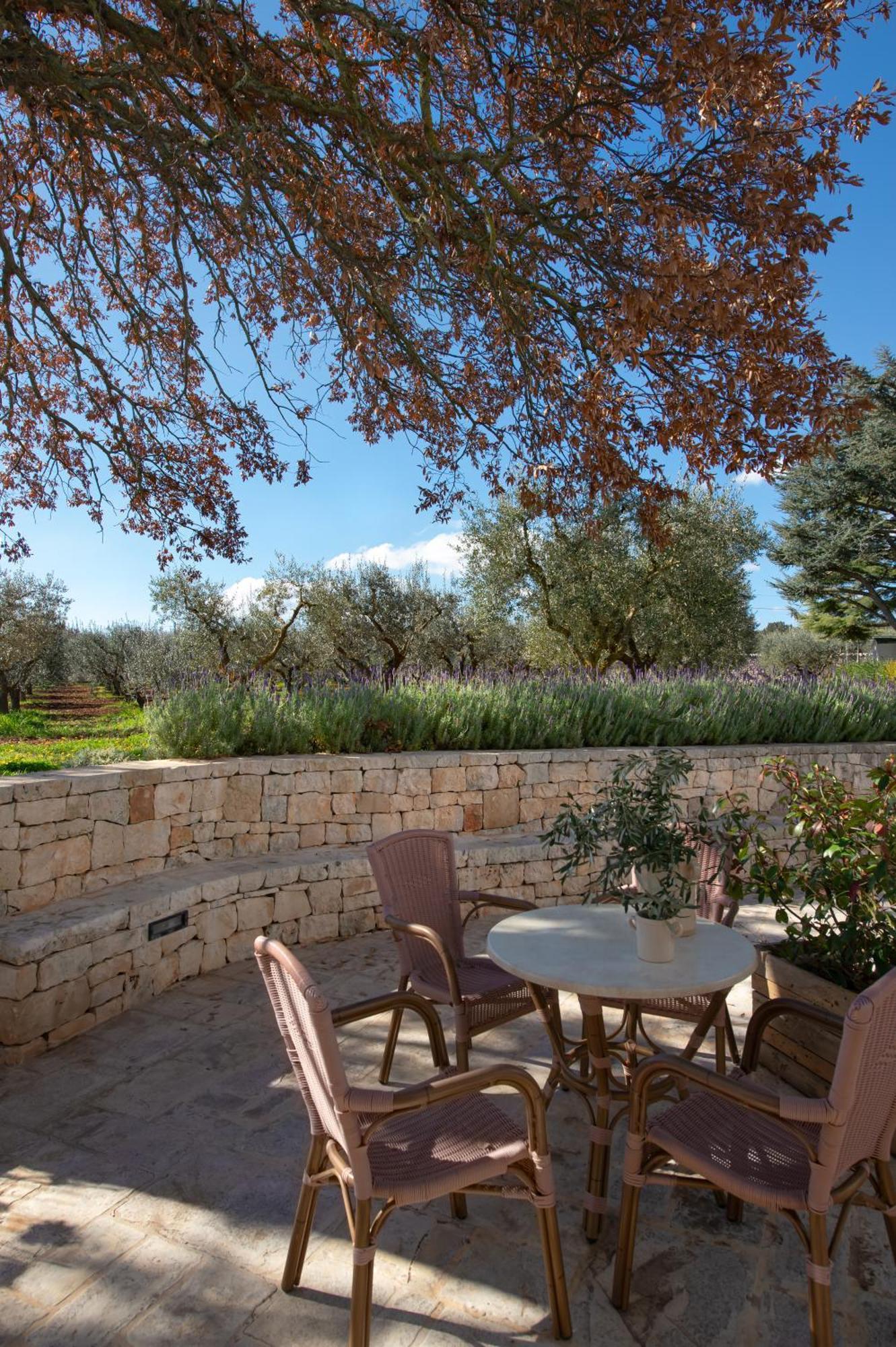 Agriturismo Masseria Aprile Locorotondo Ngoại thất bức ảnh