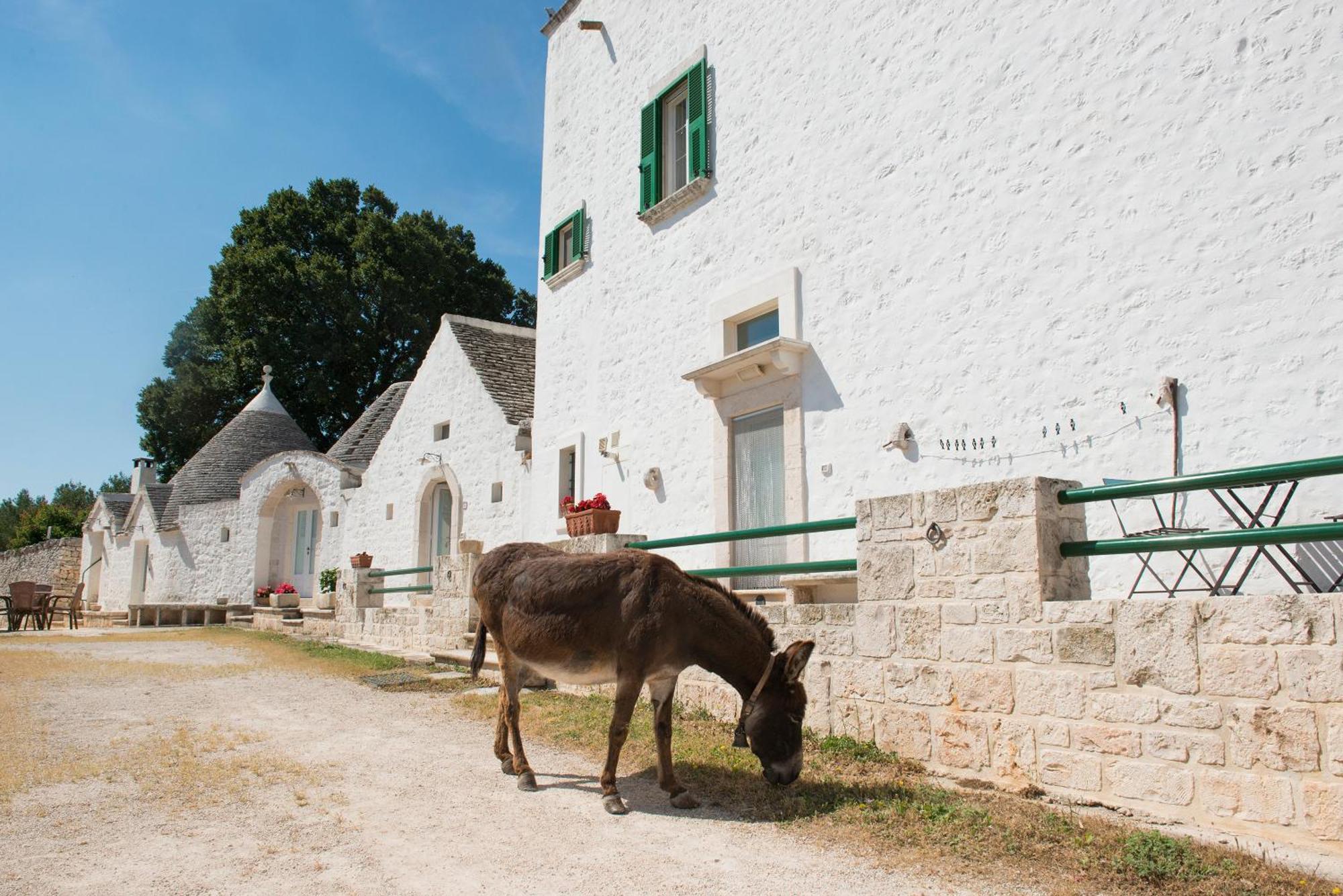 Agriturismo Masseria Aprile Locorotondo Ngoại thất bức ảnh