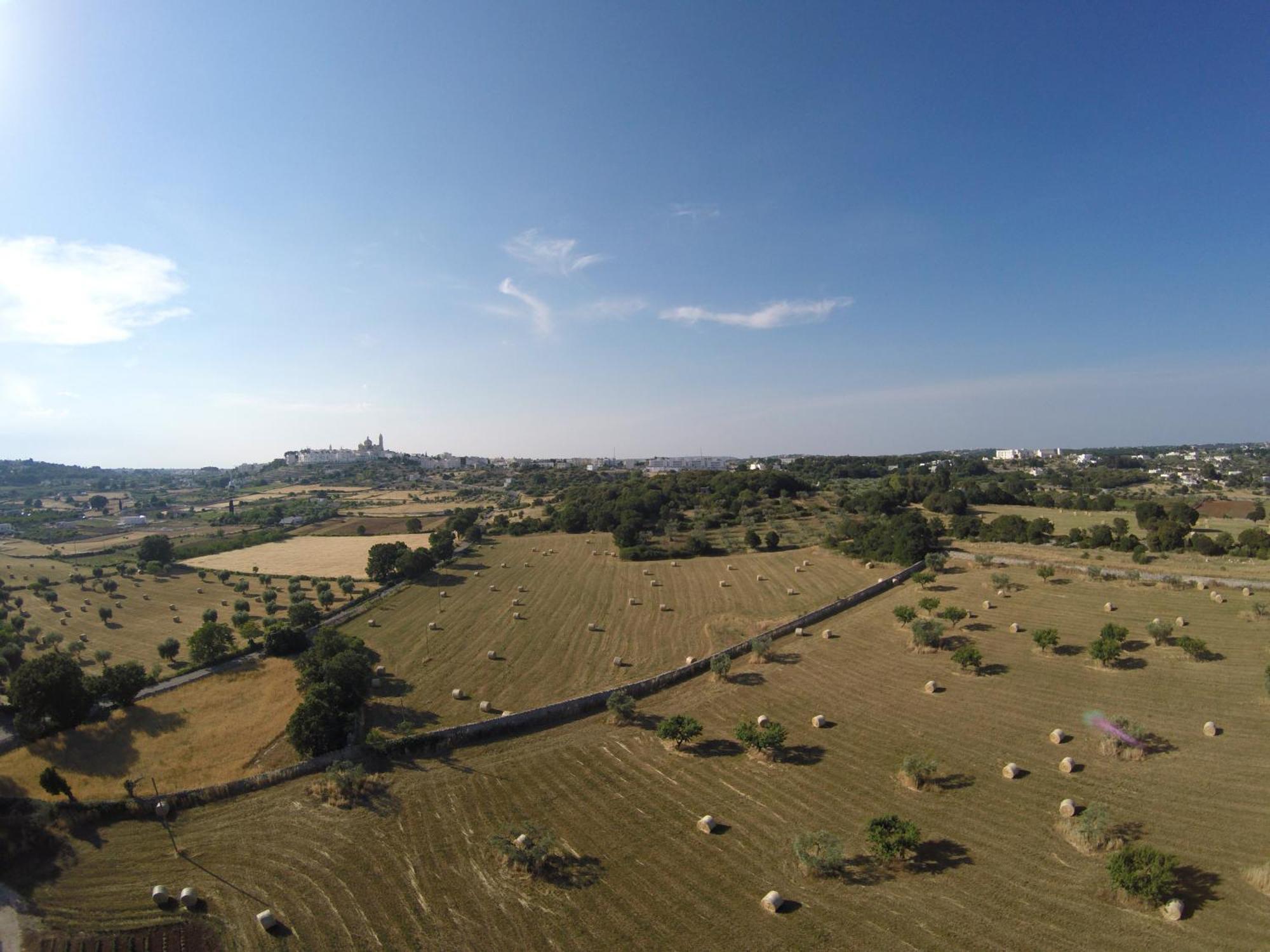 Agriturismo Masseria Aprile Locorotondo Ngoại thất bức ảnh